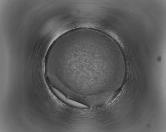 X0000095941032200801181356