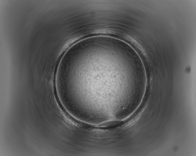 X0000095941033200801181356