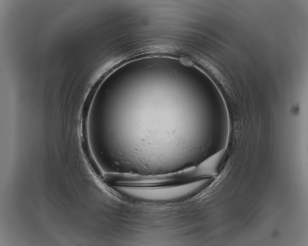 X0000095941034200801181356