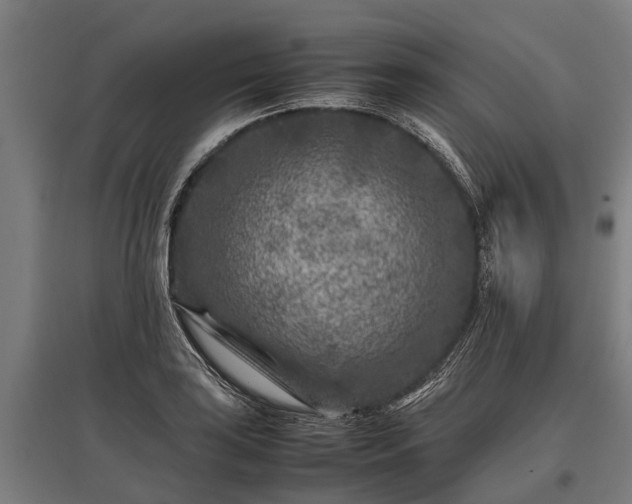 X0000095941035200801181356