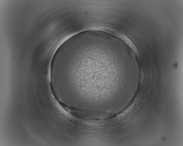 X0000095941036200801181356