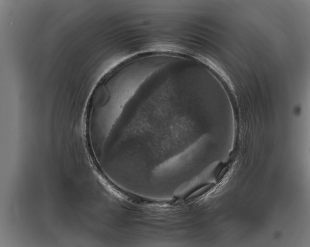 X0000095941037200801181356