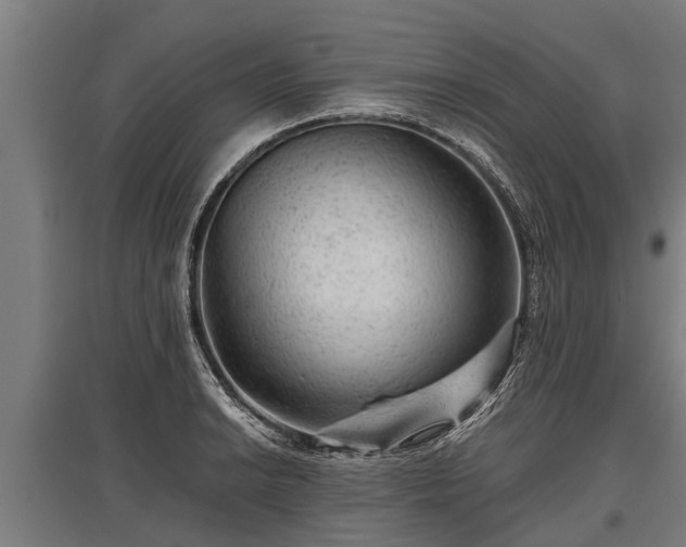 X0000095941038200801181356
