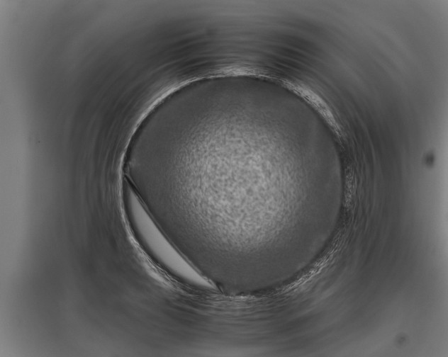 X0000095941039200801181356