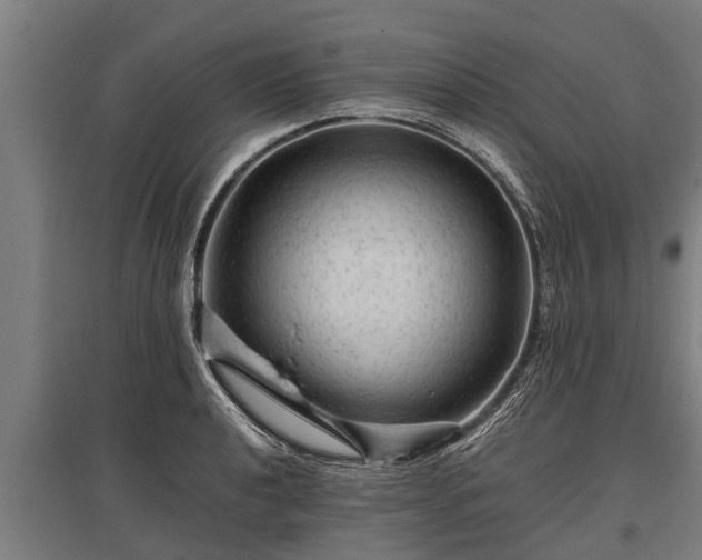 X0000095941040200801181356