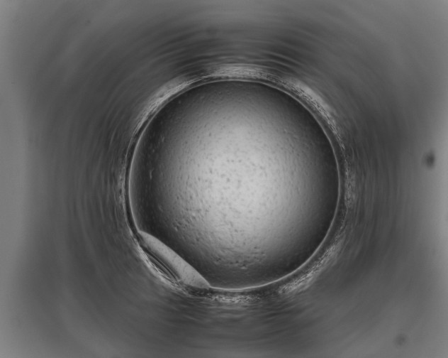 X0000095941041200801181356