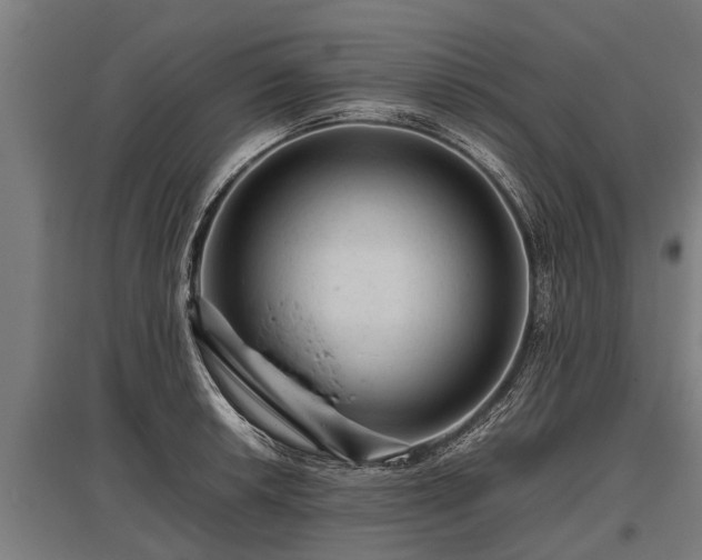 X0000095941042200801181356