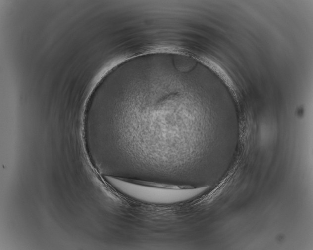 X0000095941043200801181356