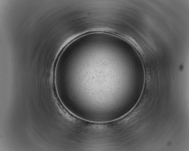 X0000095941044200801181356