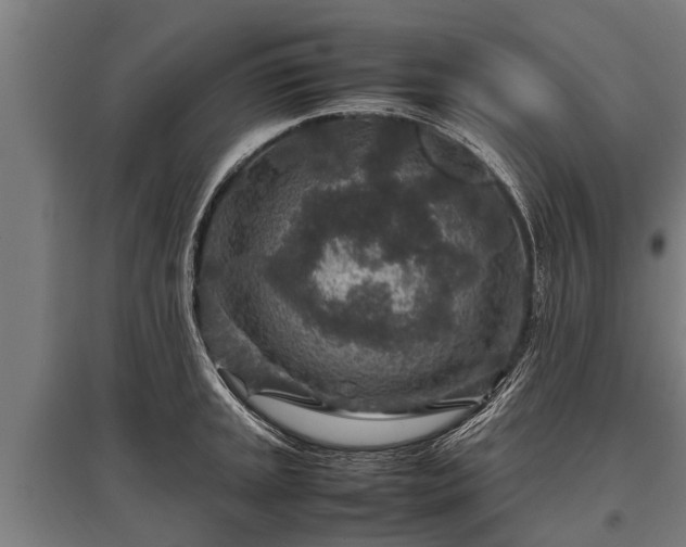 X0000095941045200801181356