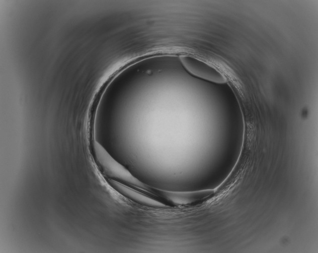 X0000095941046200801181356