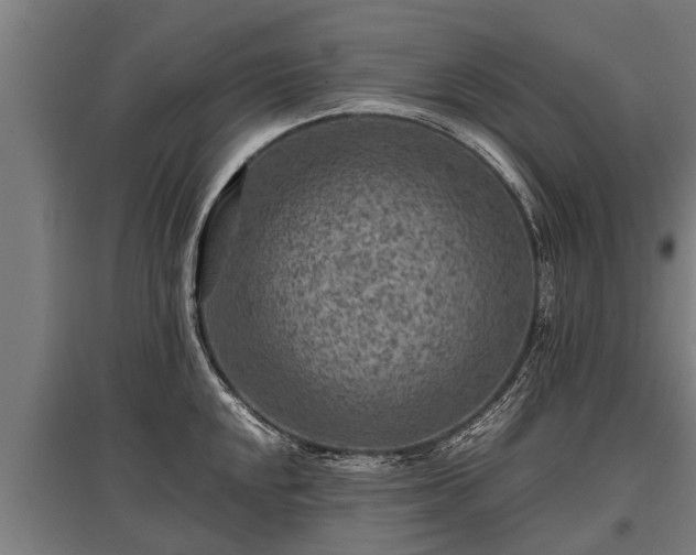 X0000095941048200801181356