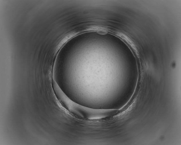 X0000095941049200801181356