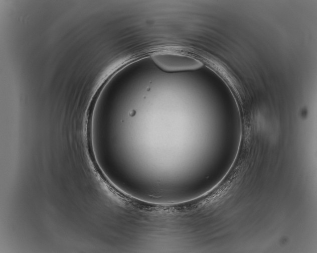 X0000095941050200801181356