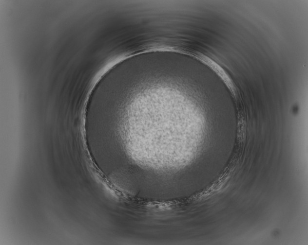 X0000095941051200801181356