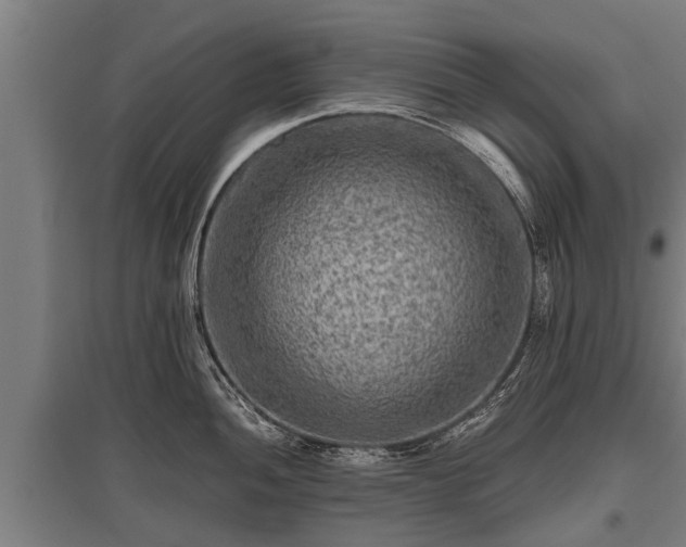 X0000095941052200801181356