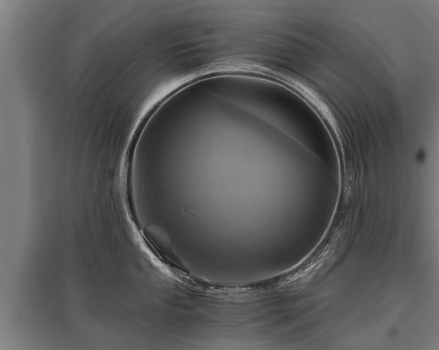 X0000095941053200801181356