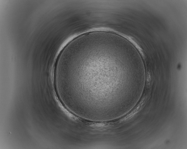 X0000095941054200801181356