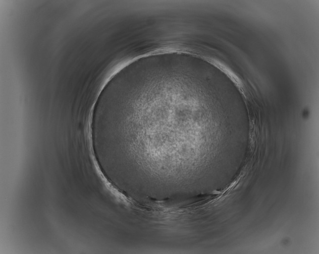 X0000095941055200801181356