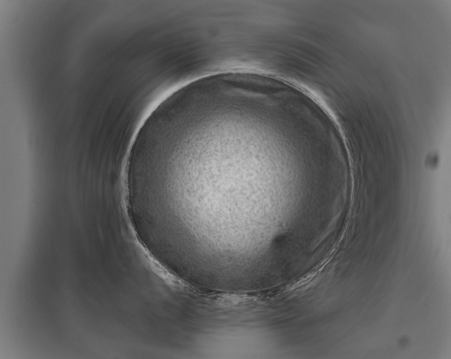 X0000095941056200801181356