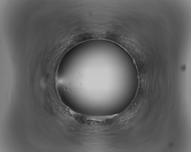 X0000095941057200801181356
