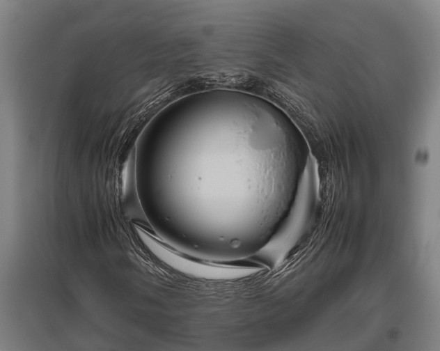 X0000095941058200801181356
