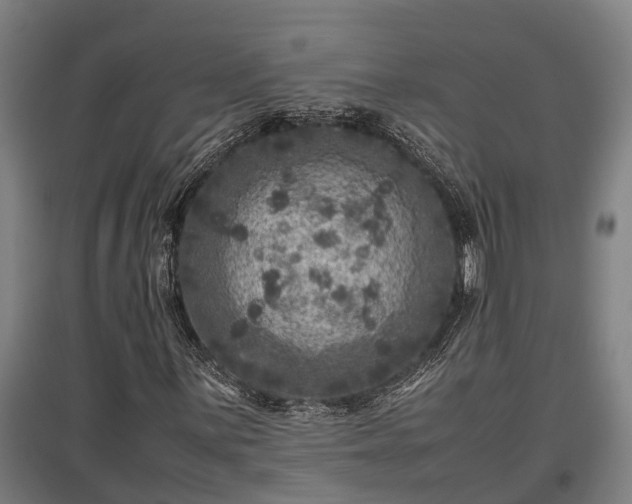 X0000095941059200801181356