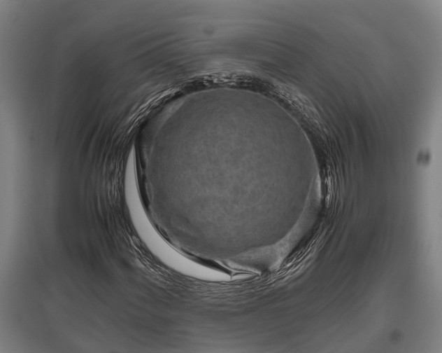 X0000095941060200801181356