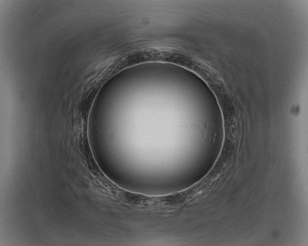 X0000095941061200801181356