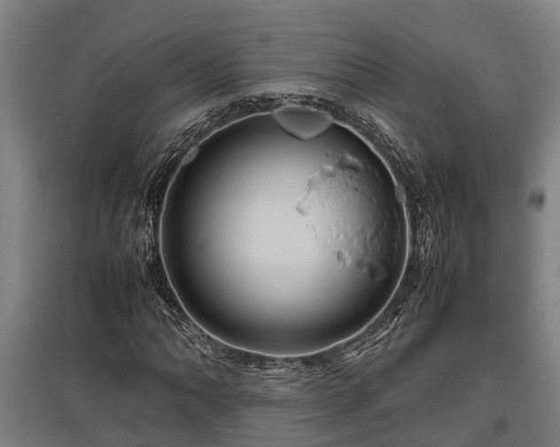 X0000095941062200801181356