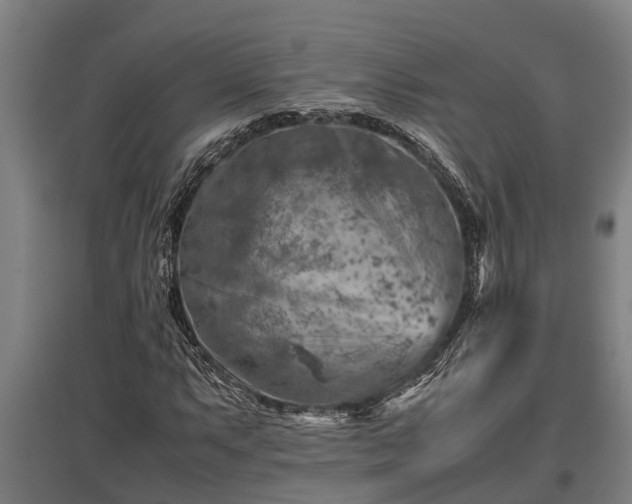 X0000095941063200801181356