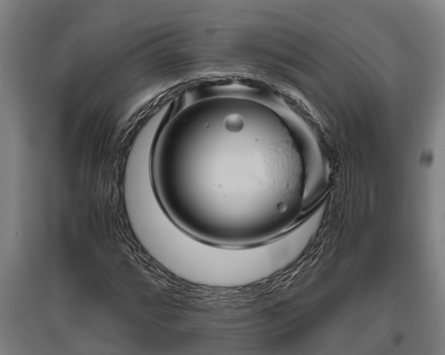 X0000095941064200801181356