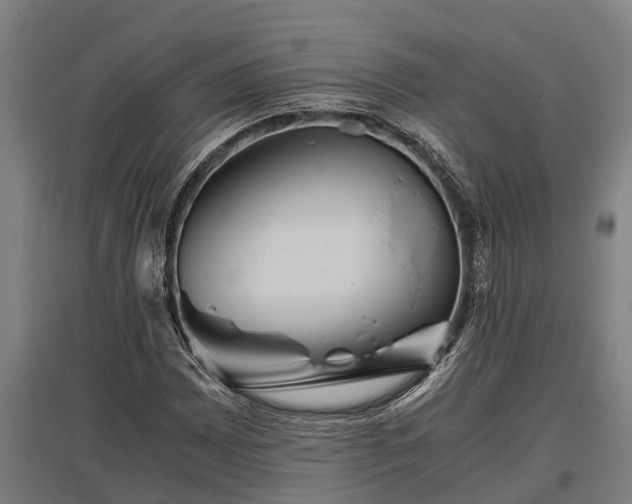 X0000095941065200801181356