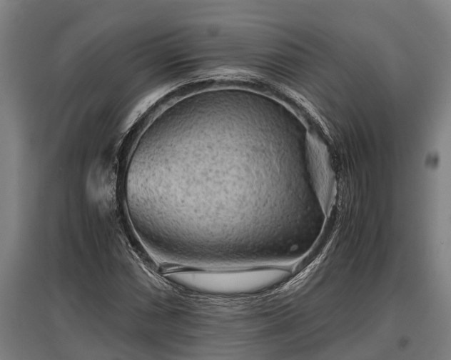 X0000095941066200801181356