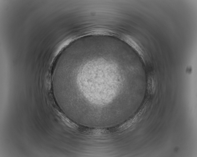 X0000095941067200801181356