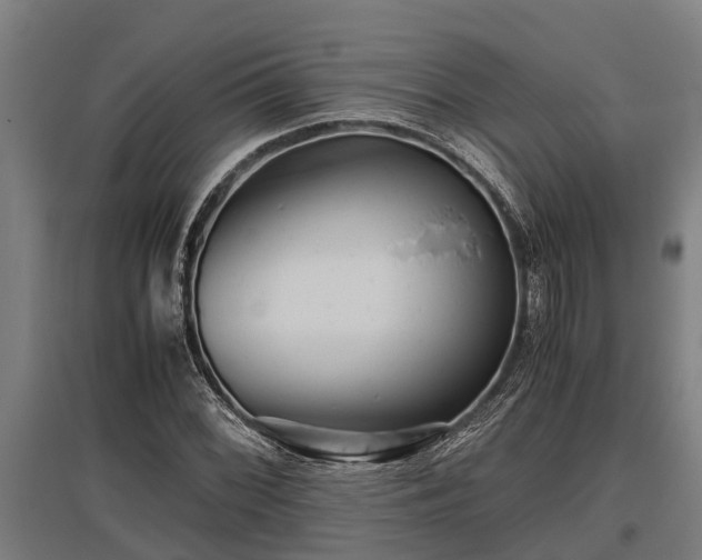 X0000095941068200801181356