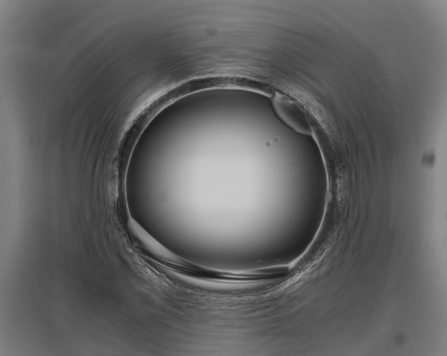 X0000095941069200801181356