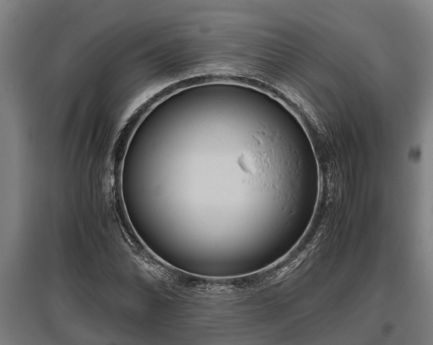 X0000095941070200801181355