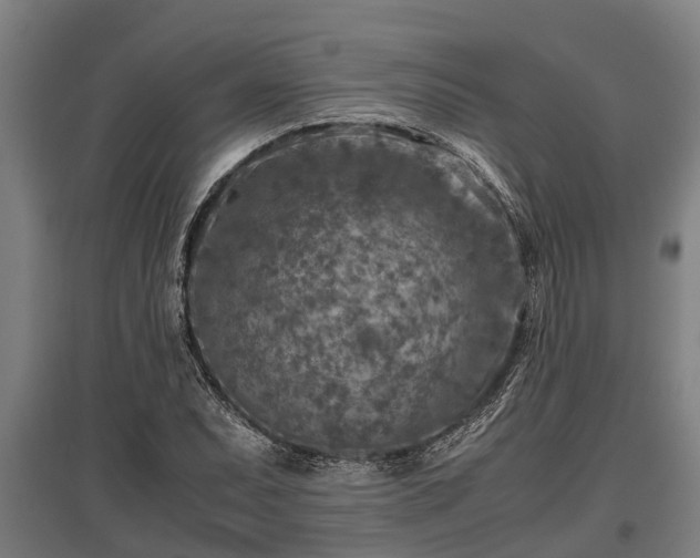 X0000095941071200801181355