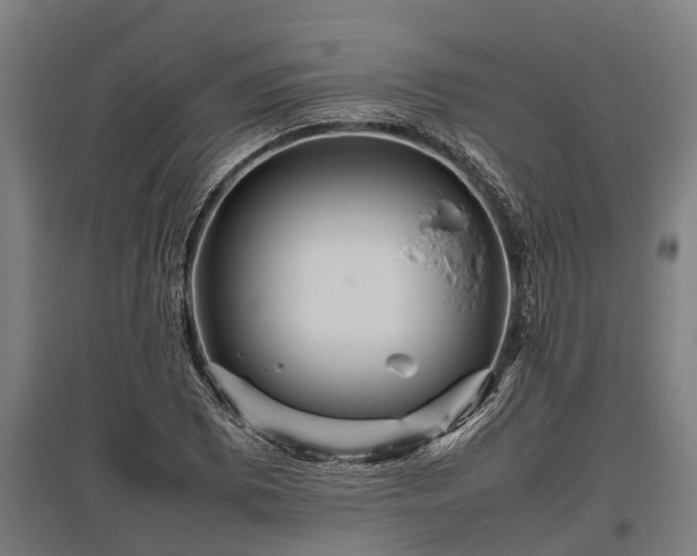 X0000095941073200801181355