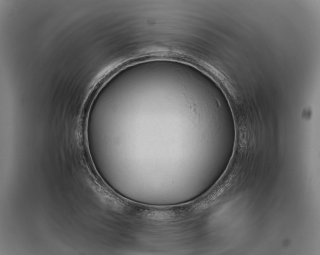 X0000095941074200801181355
