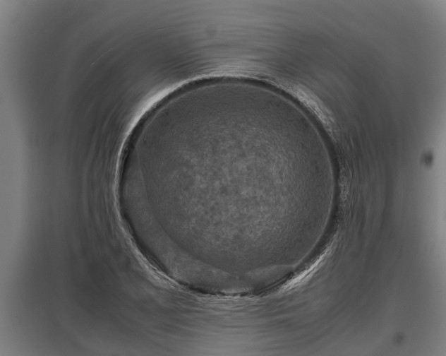 X0000095941077200801181355