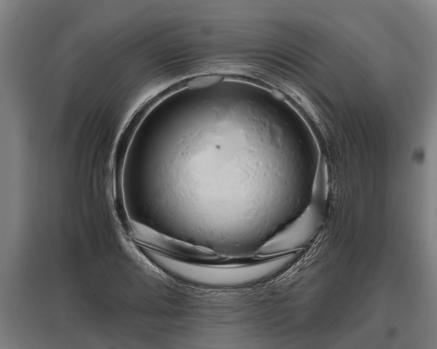X0000095941080200801181355