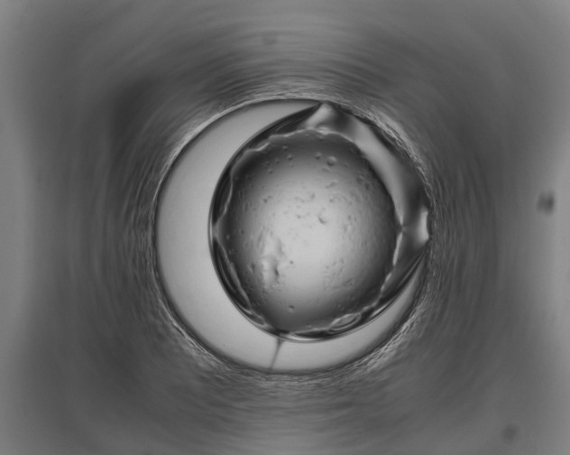 X0000095941081200801181355