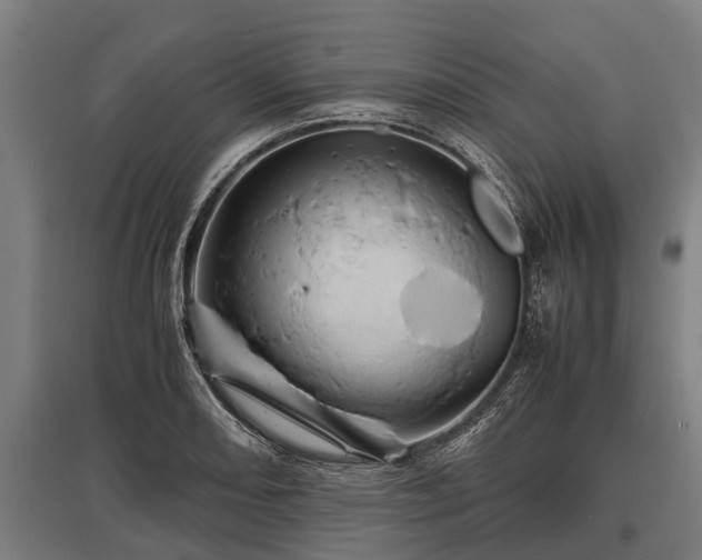X0000095941082200801181355