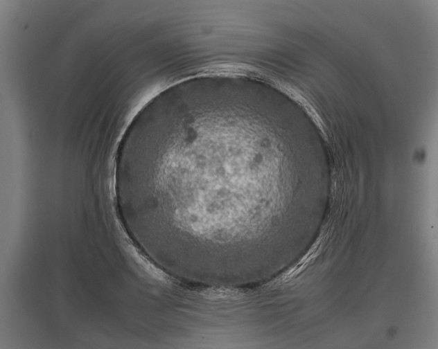 X0000095941083200801181355