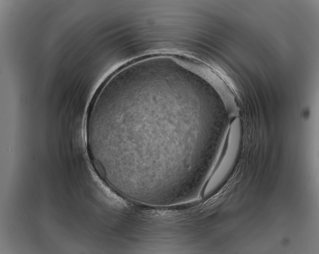 X0000095941084200801181355