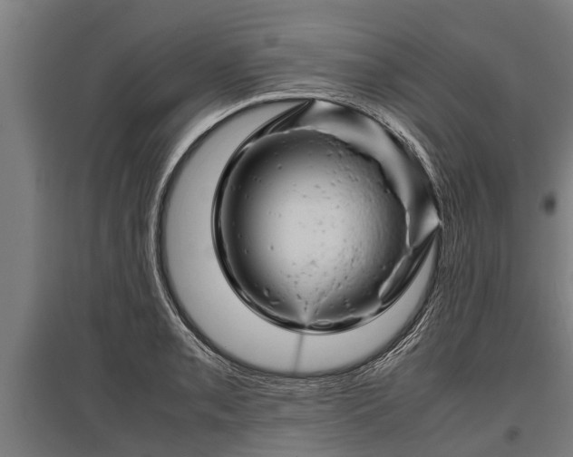 X0000095941085200801181355