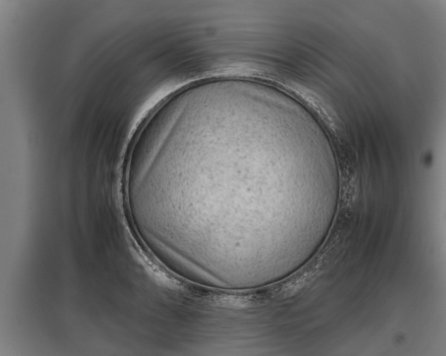 X0000095941086200801181355