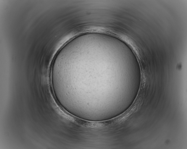 X0000095941090200801181355